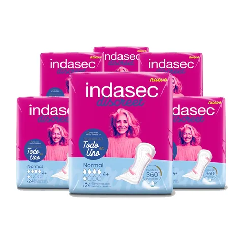 Indasbox Indasec Discreet Normal B24 6 bolsas de 24 compresas