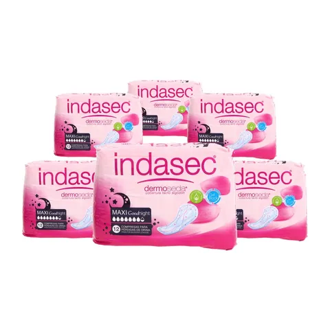Indasbox Indasec Discreet Maxi Noche B12 6 bolsas de 12 compresas